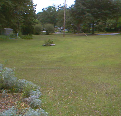Lester Bates Park Field