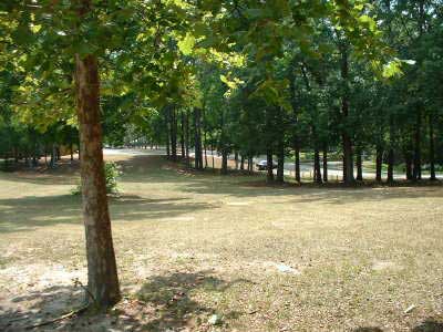 Forest Lake Park Grassy Field