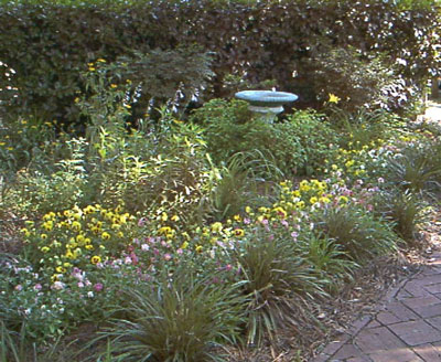 Keenan House flower bed