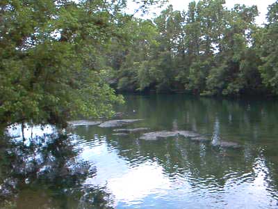Saluda Shoals River from Saluda Shoals Park