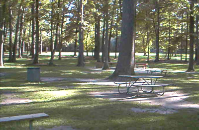 Woodland Park Grassy area